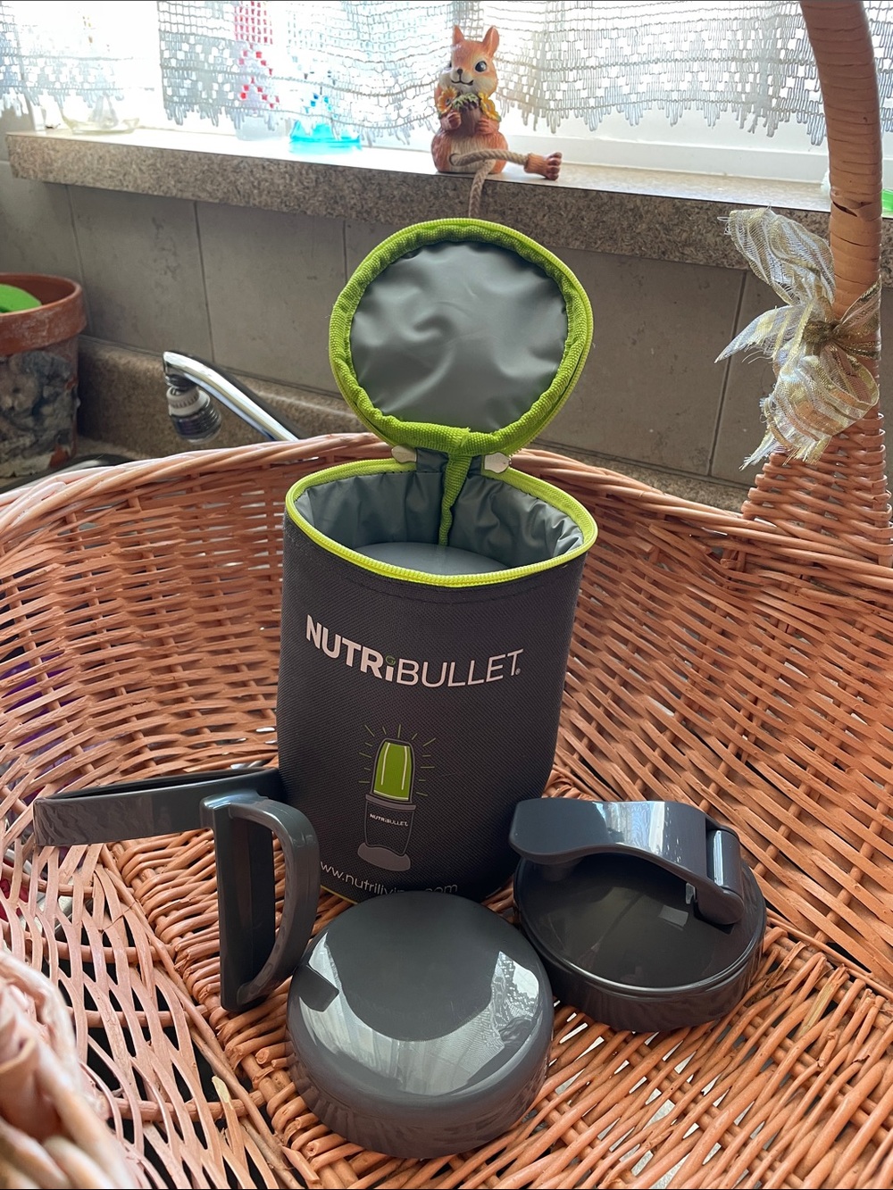NutriBullet Gray and Lime Green Accessory Pouch with Attachments